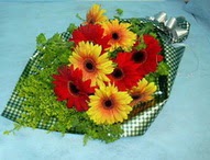 t�l i�erisinde gerbera �i�ekleri 11 adet  Ankara demetevler cicek , cicekci 