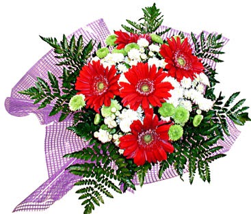 gerbera ve krizantem demeti  Ankara demetevler �i�ek�i ma�azas� 
