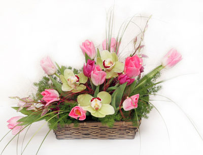 sepet i�erisinde 3 adet orkide ve lale  Ankara ucuz �i�ek g�nder �i�ek ma�azas� , �i�ek�i adresleri 