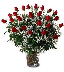  Ankara demetevler çiçek gönderme çiçek siparişi sitesi  Cam yada mika vazo içerisinde 15 adet kirmizi güller,cipsofi