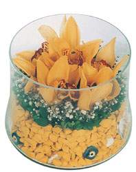  demetevler çiçek yolla Ankara çiçekçiler  cam fanus içerisinde 3 adet kandil orkide