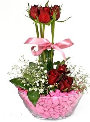  Demetevler Ankara İnternetten çiçek siparişi  SEVIYORUM DIYENLER 7 kirmizi gül tanzim 
