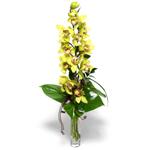  Ankara demetevler çiçek siparişi çiçek yolla  1 dal orkide çiçegi - cam vazo içerisinde -