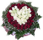  Ankara ucuz çiçek gönder çiçek mağazası , çiçekçi adresleri  27 adet kirmizi ve beyaz gül sepet içinde