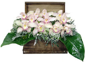  demetevler çiçekçi Ankara ucuz çiçek gönder  sandik içerisinde 1 dal orkide