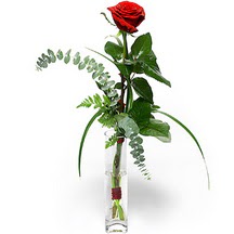  Ankara demetevler 14 şubat sevgililer günü çiçek  Sana deger veriyorum bir adet gül cam yada mika vazoda