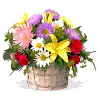 sepette karisik kir çiçekleri  Ankara demetevler çiçek gönderme çiçek siparişi sitesi  görsel sepet 