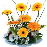 camda gerbera ve mis kokulu kir �i�ekleri  Ankara demetevler �i�ek yolla �i�ek�i telefonlar� 
