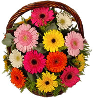 Sepet içerisinde sicak sevgi çiçekleri  Ankara hediye çiçek yolla 