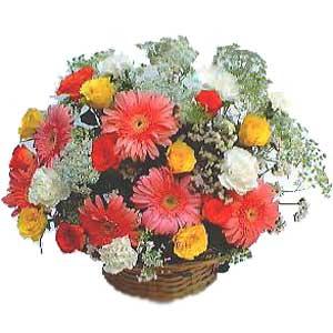Sepet içerisinde karisik kir çiçekleri  Ankara demetevler çiçek gönderme çiçek siparişi sitesi 