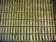 pasta yolla Essiz lezzette 1 kilo Fistikli D�r�m  Ankara demetevler �i�ek sipari�i vermek 