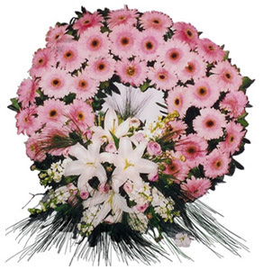 Cenaze çelengi cenaze çiçekleri  Ankara demetevler çiçek siparişi vermek 