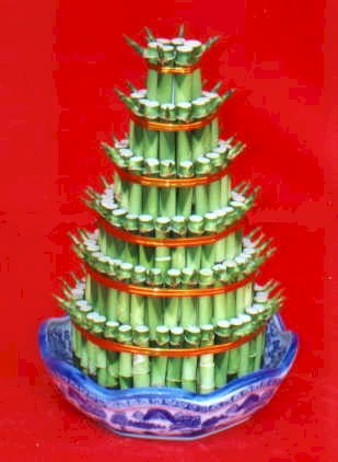 Lucky Bamboo sans melegi �i�egi  demetevler �i�ek yolla Ankara �i�ek�iler 
