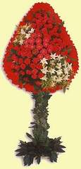  Ankara demet çiçek gönderme  dügün açilis çiçekleri  Ankara çiçek online çiçek siparişi 