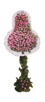  demetevler çiçekçi Ankara ucuz çiçek gönder  dügün açilis çiçekleri  Ankara internetten çiçek siparişi 
