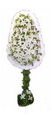  Ankara demetevler çiçek gönderme çiçek siparişi sitesi  nikah , dügün , açilis çiçek modeli  Ankara online çiçek gönderme sipariş 