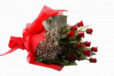  Ankara demetevler çiçek gönderme çiçek siparişi sitesi  11 adet kirmizi gül buketi çiçekçi