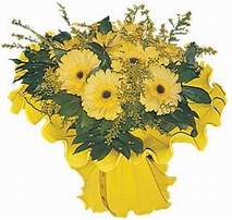  Ankara demetevler �i�ek�i ma�azas�  9 adet sari g�zel gerbera