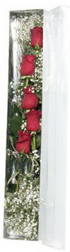  Ankara demetevler çiçek gönderme çiçek siparişi sitesi   5 adet gülden kutu güller