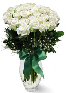 19 adet essiz kalitede beyaz gül  demetevler çiçek yolla Ankara çiçekçiler 