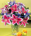  Ankara ucuz �i�ek g�nder �i�ek ma�azas� , �i�ek�i adresleri  Sevgi bah�esi �zel  bir tercih
