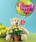  Ankara demetevler �i�ek�i ma�azas�  Ayicik balon ve saksida sari g�ller