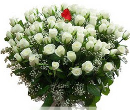  Ankara internetten çiçek satışı  100 adet beyaz 1 adet kirmizi gül buketi