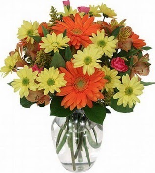  demetevler Ankara hediye sevgilime hediye çiçek  vazo içerisinde karışık mevsim çiçekleri