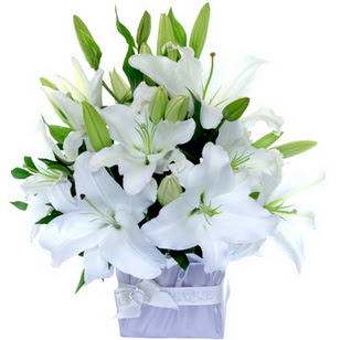 Ankara demetevler çiçek siparişi çiçek yolla  2 dal cazablanca vazo çiçeği
