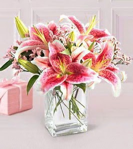 2 dal kazablanka görsel vazosu  Ankara demetevler çiçek gönderme çiçek siparişi sitesi 