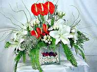  Ankara ucuz �i�ek g�nder �i�ek ma�azas� , �i�ek�i adresleri  Anthurim Kazablanka  g�l