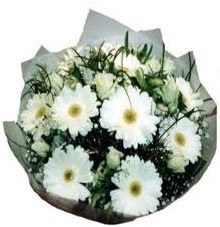 Eşime sevgilime en güzel hediye  demetevler Ankara hediye sevgilime hediye çiçek 