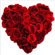  Ankara uluslararası çiçek gönderme  19 adet kırmızı gülden kalp tanzimi