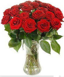  Ankara ucuz �i�ek g�nder �i�ek ma�azas� , �i�ek�i adresleri  Vazoda 15 adet k�rm�z� g�l tanzimi