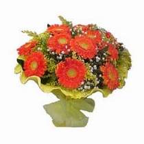  Ankara demetevler �i�ek sipari�i �i�ek yolla  11 adet se�me gerbera �i�egi