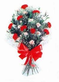  Ankara demetevler �i�ek yolla �i�ek�i telefonlar�  Karanfillerden g�zel bir demet
