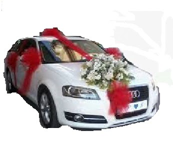  Ankara hediye çiçek yolla  Gelin arabası sünnet arabası süsleme