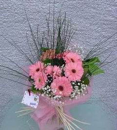  Ankara hediye �i�ek yolla  Pembe gerbera mevsim �i�ekleri
