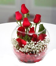 Cam fanus içerisinde 9 adet kırmızı gül  Ankara demetevler çiçek siparişi vermek 
