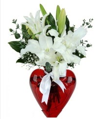 Kalp vazoda 3 kazablanka çiçeği  Demetevler Ankara İnternetten çiçek siparişi 