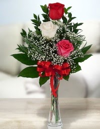 Camda 2 kırmızı 1 beyaz gül  demetevler çiçekçi Ankara ucuz çiçek gönder 