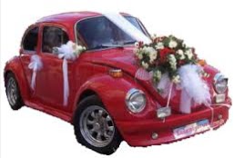 Sade gelin arabası süslemesi  Ankara ucuz çiçek gönder çiçek mağazası , çiçekçi adresleri 