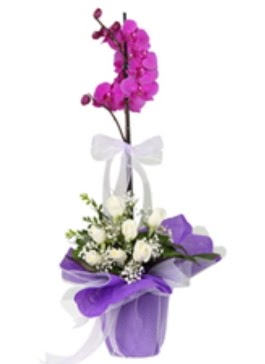 1 dal mor orkide ve 11 adet beyaz gül  Ankara demetevler 14 şubat sevgililer günü çiçek 