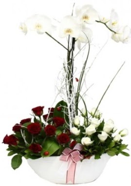Tek dal beyaz orkide 8 beyaz 8 kırmızı gül  Ankara demetevler çiçek satışı 