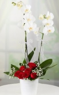 2 dallı beyaz orkide 7 adet kırmızı gül  Ankara demetevler 14 şubat sevgililer günü çiçek 