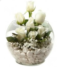 11 adet beyaz gül cam fanus çiçeği  Ankara ucuz çiçek gönder çiçek mağazası , çiçekçi adresleri 
