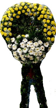 cenaze çelenk çiçeği  Ankara internetten çiçek siparişi 