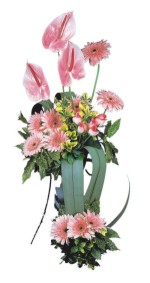  Ankara güvenli kaliteli hızlı çiçek  Pembe Antoryum Harikalar Rüyasi