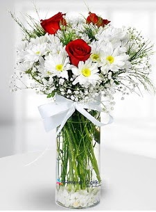 3 k�rm�z� g�l ve krizantemler camda  Ankara ucuz �i�ek g�nder �i�ek ma�azas� , �i�ek�i adresleri 