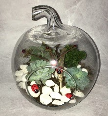 K���k terrarium elma 3 kakt�s  Ankara ucuz �i�ek g�nder �i�ek ma�azas� , �i�ek�i adresleri 